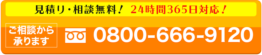 tel.0800-666-9120