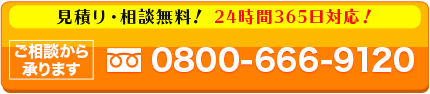 tel.0800-666-9120